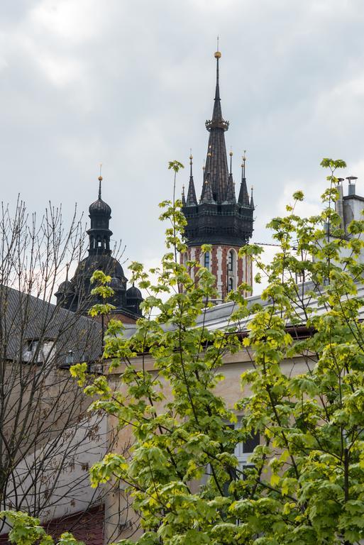 Blue Sky Apartment Krakow Bagian luar foto